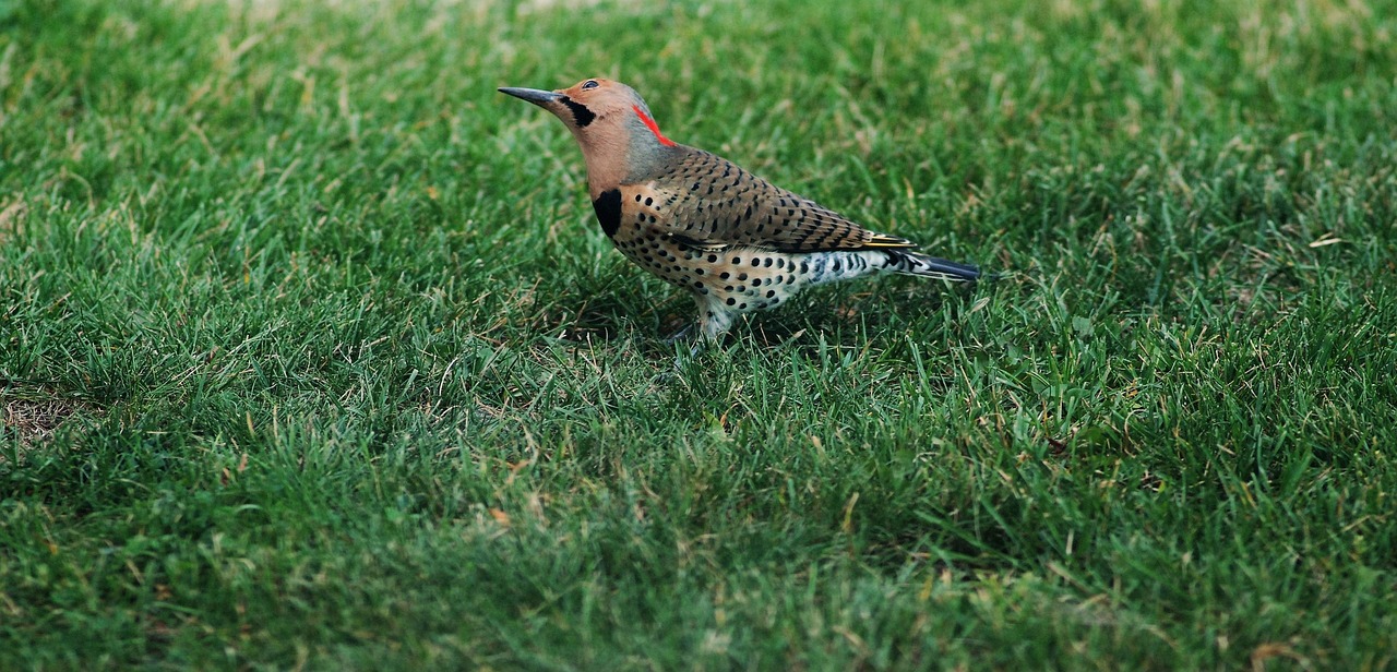 クレジットカード初心者が迷ったら比較サイトを利用する方法は？