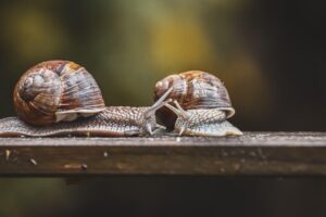 クレジットカード初心者が知っておくべきプライバシー保護の方法は？